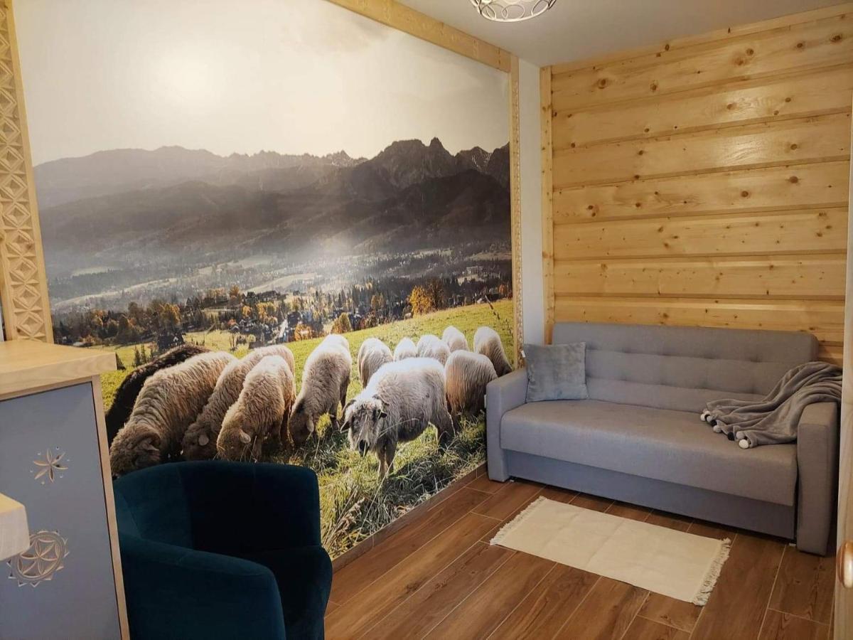 Apartamenty Bachledzki Wierch Закопане Екстериор снимка